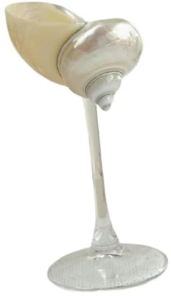 BHFZIAP snäckskal champagne glas kopp gåvor champagnekopp unik bägare för kvinnor män vuxna A, stil A
