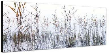 PANORAMABILD 150x50 cm - Bild Bilder auf Leinwand und Keilrahmen topaktuelles Design topaktuell Leinwand auf Keilrahmen Kunstdruck XXL in brillanter Farbqualität moderne Bilder Dekobilder Wanddekoration schöner wohnen