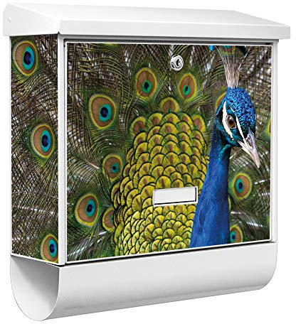 banjado® Burgwächter Briefkasten Weiß 38x39x12cm mit Motiv Pfau/Briefkasten mit Zeitungsfach/Briefkasten mit Zeitungsrolle/Postkasten inkl. Montagematerial & 2 Schlüsseln