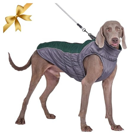 Winter Hundejacke Warmer Hundemantel Kuschelige Verstellbare Hunde Bekleidung Winddichter Wasserdichter Reflektierende Hundeweste Skibekleidung mit D-Ring Outfit für Mittlere Große Hunde Draussen,Grün
