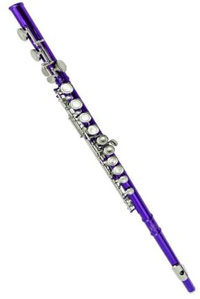 flûte traversière Flûte colorée à 16 trous fermés en clé C et clé E flûte violette