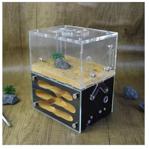 Ameisenfarm Formicarium Ameisenburg Nachahmung Original Ökologisches Betonnest Burg Werkstatt Zuhause Ameisennest Farm Ameisenfarm Ameisenfarm für Draußen(Black)