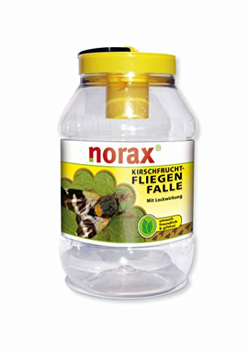 norax Fruchtfliegenfalle mit Lockwirkung *umweltfreundlich + giftfrei*