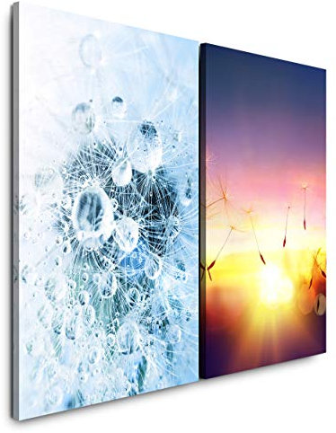Paul Sinus Art Wandbild 2 teilig je 60x90cm Regentropfen Pusteblume Sommer Sonnenstrahlen Sonnenuntergang Wärme Makrofotografie