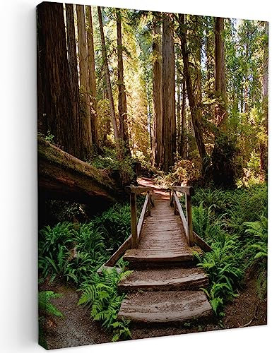 MuchoWow© Impression sur Toile Photo Peinture 50x70 cm Tableau Decoration Murale Chambre Salon Maison Deco Cuisine Jungle - Nature - Escaliers - Arbres