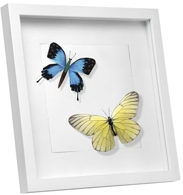 EUGAD 3D Bilderrahmen zum befüllen, 30x40 cm, Weiß, 1.5cm Tiefer | 3D Objektrahmen, Tiefer Rahmen für Wand- & Tischrahmen, Shadow Box für Fotos, Hochzeitsstrauß, DIY Kunstwerke