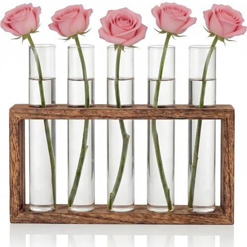 Reagenzglas Vase, Reagenzgläser Für Blumen, Ableger Pflanzen Glas | für Blumen Mit Ständer Holz,für Hydrokultur Pflanzen Tischdeko Hause