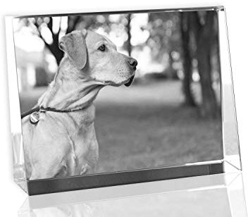 VIP-LASER 2D Gravur Glas Kristall Flachglas selbststehend Querformat mit Deinem Hundefoto Hund. Dein Wunschfoto für die Ewigkeit Mitten in Glas! Groesse XL = 105x80x30mm