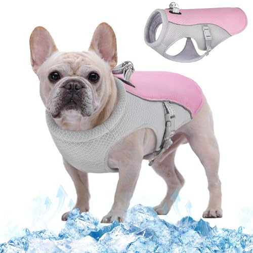 Kuoser Kühlweste für Hunde, Kühlweste Hund für Sommer mit D-Ring, Rosa S | Hunde Kühlweste für heiße Sommertage, Atmungsaktive & Reflektierende Hundekühlwesten, Kühljacke Hund für Aktivitäten Draußen