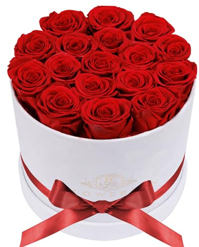 Prifroti 17 Flowers in a Luxury Suede Box, Birthday Gifts for Women, Preserved Flowers, Mothers Day Roses Gift for Mom, Red