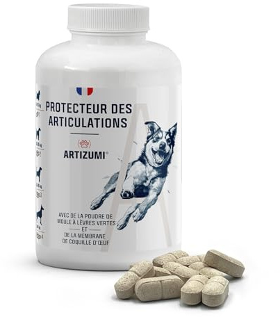 Bestceutics - Comprimés Anti Arthrose Chien Artizumi | Pastilles pour Articulation Chien, Anti Inflammatoire | Glucosamine, Chondroïtine et Moule Verte, MSM | 125 Comprimés