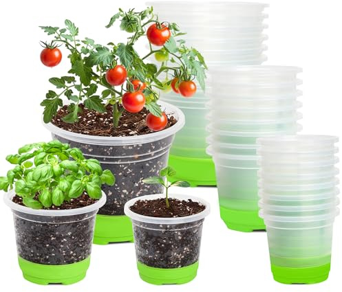 MIXC Anzuchttöpfe 24 Stück 9/10/12 cm Pflanztöpfe Transparent mit Silikonsockel Wiederverwendbar Blumentöpfe aus Kunststoff für Pflanzen Blumen Gemüse,Grün