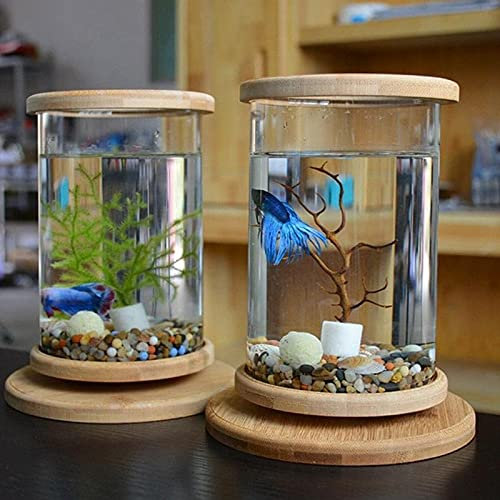 FURUIWUFENG Aquarium Kleines Büroglas Aquarium Bambusbasis Mini-Fischtank Dekoration Fischschüssel Fischtank Mini Aquaponic Ökosystem Aquarium-Kit