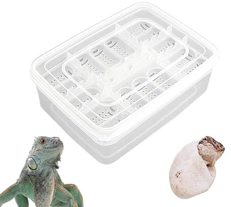 Bexdug Brutkasten für Reptilien-Eier, Reptilien-Zuchtbox | 16 Gitter transparente Brutbox für Reptilieneier - Brutkasten, Brutkasten, Brutkasten für Gecko, Löwenmähne