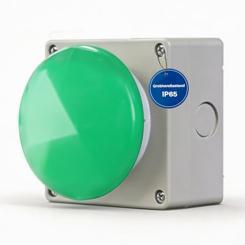 Intratec Buzzer Grobhandtaster Grün Grau – IP65 Schalter Aufputz Taster Drucktaster 1NO+1NC zwangsöffnend für industriellen Gebrauch made in EU – 94 x 94 x 90mm