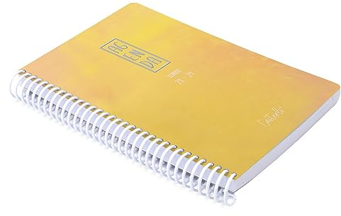 Casterli - Schülerkalender 2023-24, Kollektion BRILLI, holografischer Einband, 136 flexible Spiralbindung, A5 (160 x 210), für Schule, Hochschule oder Universität – (BRILLI GELB)