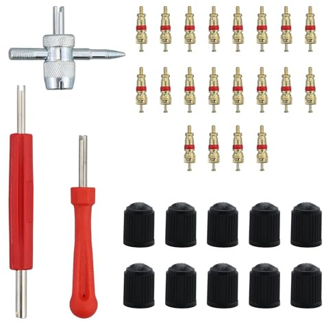 Kit de réparation de valve de voiture 33 pièces, kit de réparation de valve de pneu de voiture avec 20 x noyaux de valve, 10 x bouchons de valve, 3 x clés de valve/outils pour réparation de pneus de