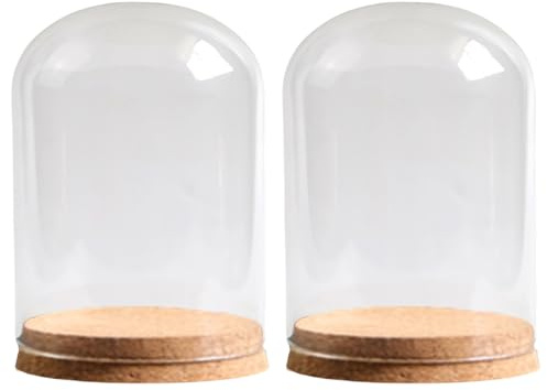 Guaber 2 Pari Piccoli Vetro A Cupola in con Vaso Campane Cloche A Base Sughero per Colletti E Decorazioni Artigianato Dome