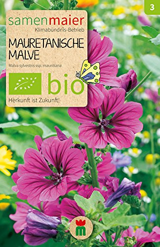 BIO Mauretanische Malve Samen - Pflegeleichte Zierpflanze mit großen dunkelpurpurnen Blüten - Einjährig, ideal für naturnahe Gärten - Inhalt reicht für ca. 25 Pflanzen - Samen Maier