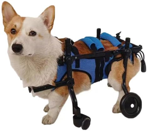 Verstellbarer 4-Rad-Rollstuhl für kleine Hunde für die Vorder- und Hinterbeine, Haustier-, Katzen- und Hundewagen, Rehabilitations-Trainingshilfewagen, Gehrollstuhl mit Hüftstütze und Beinst