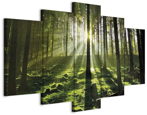 B&D XXL - Leinwandbild Natur Sonne Bäume, 225x112 cm, 5-teilig, Wohnzimmer | Hochwertige Leinwand, sofort aufhängbar, ideal fürs Wohn- oder Schlafzimmer, wasserfest und lichtecht, langlebig, stilvoll
