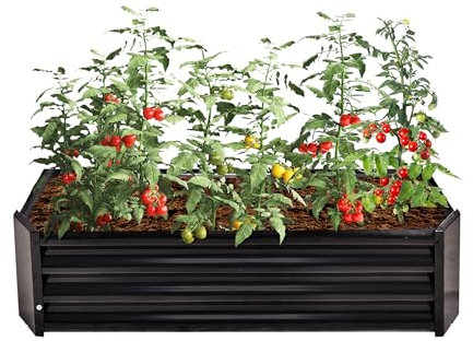 VERFARM Set di aiuole rialzate in metallo zincato, per giardino, 120 x 60 x 30 cm, set di aiuole rialzate per verdure, fiori grassi, erbe aromatiche, aiuole e fioriera, rettangolare, nero
