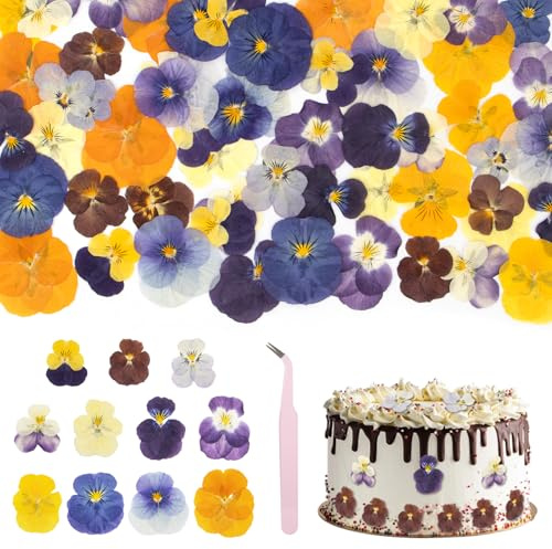 Yuaerbuo 55 Pcs Natural Dried Pressed Flower, Non Edible Flowers Cake Decorations Mix of Tricolor Viola Pressed Flowers for Cakes/Cupcakes Toppers Cocktails Jewellery Making DIY Art Crafts