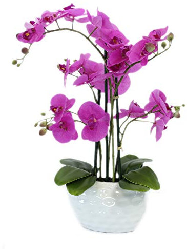 DECOLINE Kunstpflanze Orchidee XL mit Keramiktopf - ca. 53cm hoch (Blüten lila - Topf weiß)