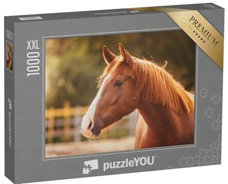 Puzzle 1000 Teile XXL „Porträt eines Pferdes im Abendlicht“ – aus der Puzzle-Kollektion Pferde, Westernpferde