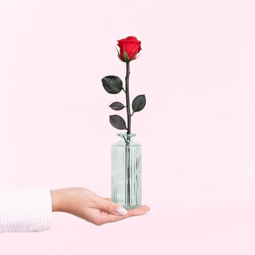 Fleurs et Délices - Rose Eternelle 27,5 cm et Vase Soliflore 13 cm - Cadeau Anniversaire Saint Valentin Idée Femme