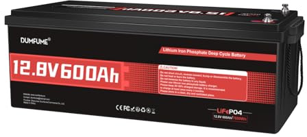 Dumfume 12V 600Ah LiFePO4 Lithium Batterie mit 200A BMS, 7680Wh Energie | 15000 Zyklen, Low Temperature Schutz 12 Volt Akku, Perfekt für Wohnmobil, Solaranlage, Netzunabhängig, Energiespeicherung