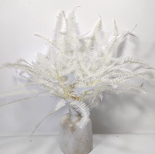 10 Stiele natürlich getrocknete Farnblätter weiß konserviert Farn Blumenstrauß – Elfenbein für Hochzeit, Heimvase, Blumenarrangement, Girlanden, Wandbehang