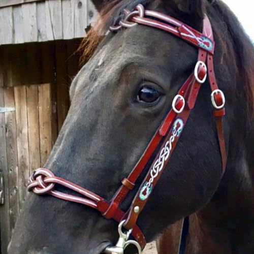 MDFCZXP Brida de Caballo Arnés de Caballo Ajustable - Arnés de Brida de Caballo Supplie - Collar de Cabeza Accesorios ecuestres Accesorios de Silla de Montar de Cabestro de Caballo,Rojo,10cm