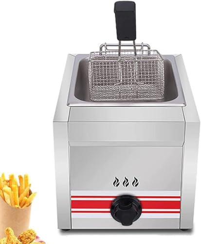 Friggitrice professionale a gas GPL, friggitrice commerciale in acciaio inox con cestini e coperchi, per uso commerciale, ristorante, casa, cucina, monocilindro, 10 l