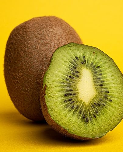 Planta de KIWI Verde 'Jenny' Planta Autofértil - en maceta Ø 20 cm - H. 80/100 cm