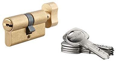 THIRARD - Cylindre de serrure à bouton Tiger 6, 30Bx30mm, laiton, anti-arrachement, anti-perçage, 5 clés