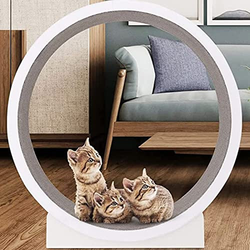 JIADUOFU Katzenlaufrad Kätzchen Katze Laufband Rad Spielzeug, Großes Laufrad Für Wohnungskatzen, Laufbandrad Aus Holz Mit Weißer Katze, Leises Katzenkratzbrett rutschfest, 120 cm Spielzeug