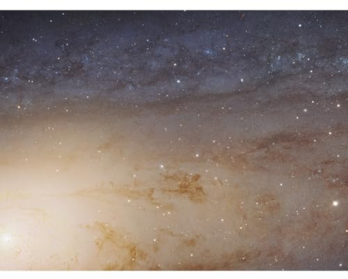 Artery8 Hubble Space Telescope Image M31 Phat Mosaic Andromeda Galaxy Disk Evolution Star Clusters And Cosmic Dust Clouds Large XL Wall Art Canvas Print