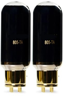 JEQGDLUI Amplificatore Audio a valvole 805-TA 1/2/4 Pezzi(2 PCS)