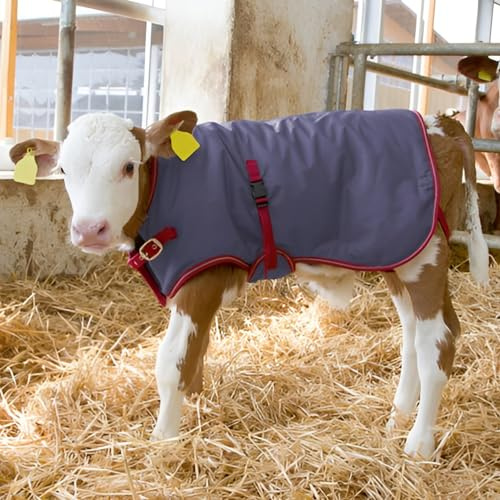Giacca di vitello accogliente cappotto invernale coperta coperta coperta 200g pile antistrappo impermeabile traspirante blu grande resistente all'acqua e agli strappi