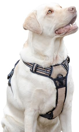 Ferplast Hundegeschirr Grosse Hunde, 2 Haken für maximale Kontrolle, Anti-Zug, Verstellbar, Reflektierend und Atmungsaktiv, Ideal für Training, L, Beige