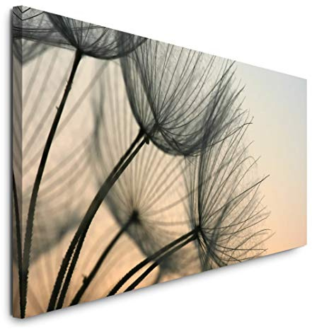 Paul Sinus Art GmbH Pusteblumen 120x 50cm Panorama Leinwand Bild XXL Format Wandbilder Wohnzimmer Wohnung Deko Kunstdrucke