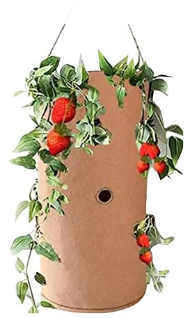 Uposao Sacco per Piantare Sacchi Piante Borse per Piantare Fragole Fioriera per Fragole Sospesa in Feltro con Manici per Coltivare Pomodori Erbe Fiori Fragole