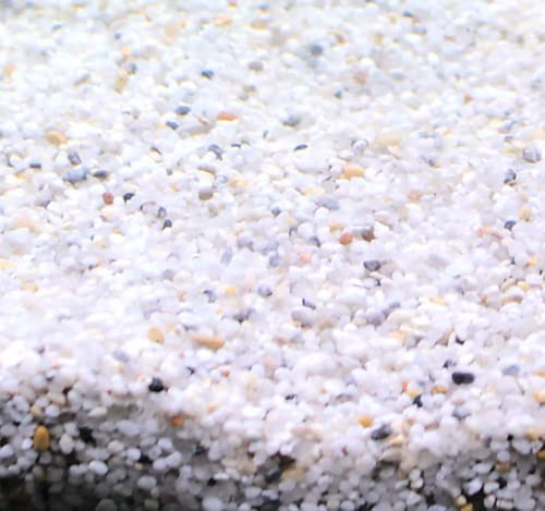 Silbermann Natural Gravel, Heller Aquarienkies, 2-4ml Körnung, 15kg