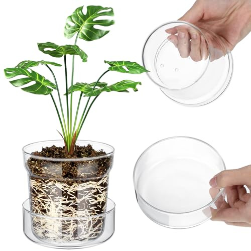 Baderke 4 Inch Glass Plant Pots with Saucer, Flower Nursery Plant Pots with Drainage for Flower Seed Starter Transparent Seedling (1 Set)