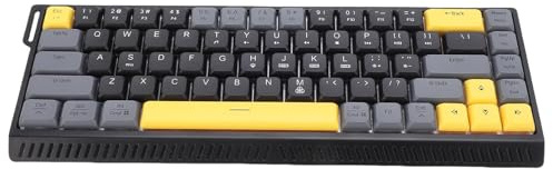 Vvikizy Clavier D'ordinateur 68 Touches, Clavier Filaire Silencieux rétroéclairé RVB avec Interrupteur à Ciseaux et Anti-Image Fantôme, pour Le Travail et Les Jeux (Noir Gris)
