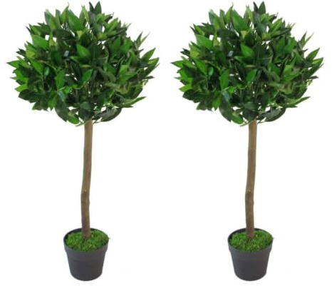 Leaf Design UK Buchs-Formschnitt-Kugelbäume, 2 Stück