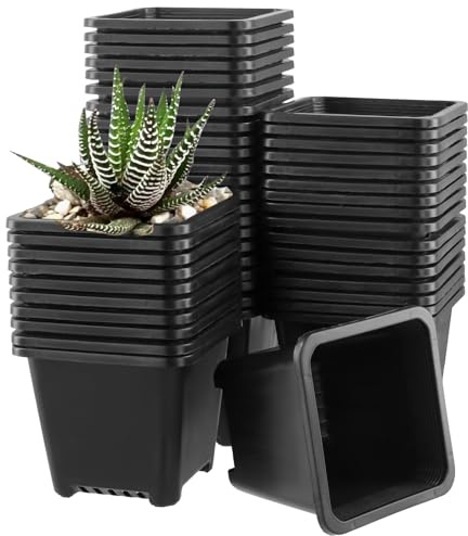 MUKSEUT 100 vasi da fiori in plastica da 10 cm, quadrati, piccoli contenitori per piante da fiori, per verdure, piante grasse, piantine, trapianti