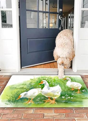 OHJEAJDS Tappeto Bagno - Tappeto multiuso antiscivolo per ingresso,cucina,camera,bagno,Soffice Tappeto Doccia,Anatra, oca in fattoria Lago Piante Erba Canne Fiori Stagno Animali Oche Piume V,50x80 cm