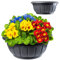 KADAX Flower Bowl, ciotola di piantagione rotonda, piantatrice di plastica, secchio focer per esterni, fiori, piante, giardino, balcone, decorazione, vaso di fiori, (34 cm, antracite)